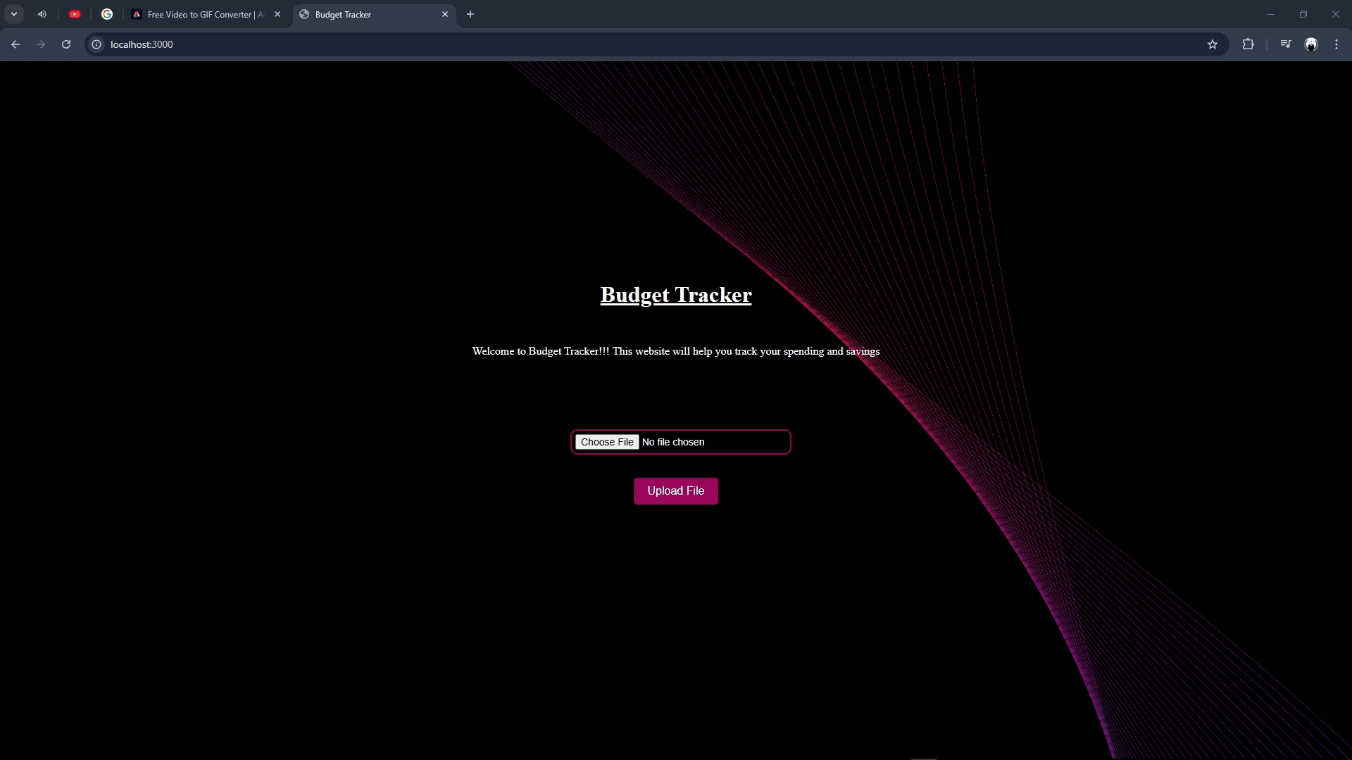 Budget Tracker Demo